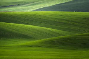 Rolling Prints: Europe, Czech Republic. Moravia wheat fields