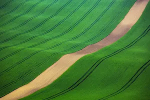 Track Prints: Europe, Czech Republic, Southern Moravia