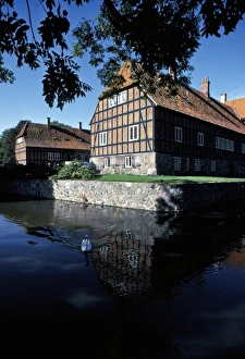 Swan Prints: Europe, Denmark, Fyn Isle. Steengard Manor