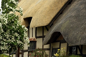 Europe, England