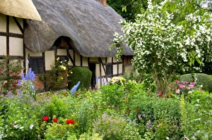 Europe, England