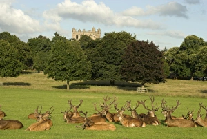 Images Dated 11th July 2008: Europe, England