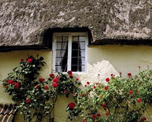 Europe, England