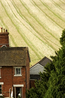 Images Dated 28th August 2006: Europe, England, brick farmhouse in front of colorful field