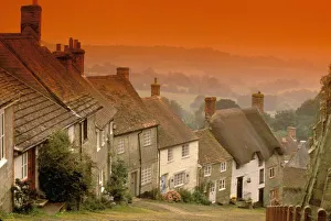 Gold Hill Prints: Europe, England, Dorset, Shaftesbury. Gold hill