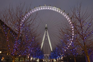 Images Dated 13th January 2007: Europe, ENGLAND, London: Southbank, London Eye / Pre, Dawn