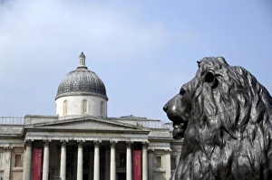 Lincoln Peak Prints: Europe, England, London. Trafalgar Square, National Gallery in distance. THIS IMAGE