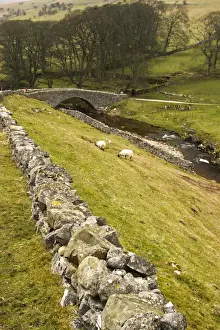 Stone Bridge Prints: Europe, England, Yorkshire, stone bridge in Yorkshire Dales
