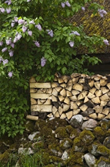 Images Dated 6th June 2010: Europe, Estonia