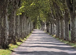 Europe, France