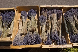 Images Dated 4th June 2009: Europe, France
