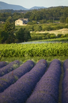 Europe, France
