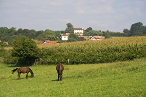 Europe, France