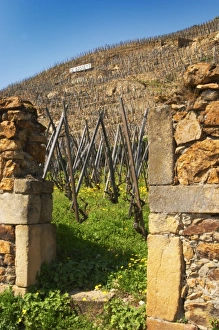 Europe, France