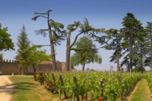 Europe, France