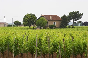 Images Dated 29th May 2005: Europe, France