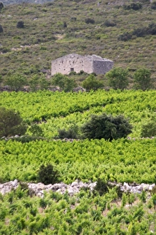Images Dated 17th June 2006: Europe, France