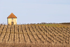 Europe, France