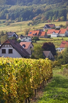 Images Dated 10th October 2010: Europe, France