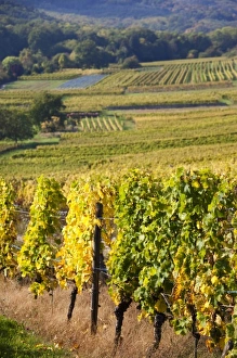 Images Dated 10th October 2010: Europe, France