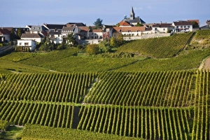 Images Dated 7th October 2010: Europe, France