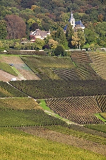 Images Dated 7th October 2010: Europe, France