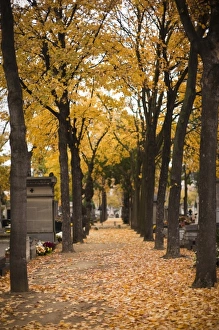 Images Dated 6th November 2010: Europe, France