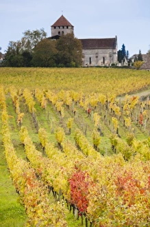 Images Dated 29th October 2010: Europe, France