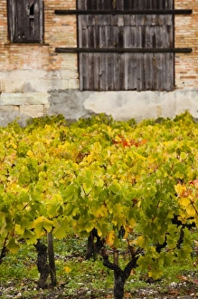 Images Dated 31st October 2010: Europe, France