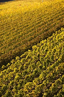 Images Dated 30th October 2010: Europe, France
