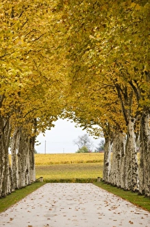 Europe, France