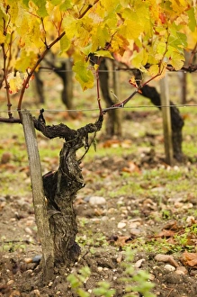 Images Dated 31st October 2010: Europe, France