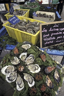 Europe, France, Aix En Provence. Oysters and shellfish in outdoor market