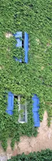 Bonnieux Prints: Europe, France, Bonnieux. Ivy covers the walls of an old home in Bonnieux in Provence