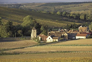 Europe, France, Burgundy, Milly, Yonne Vineyards of Chablis