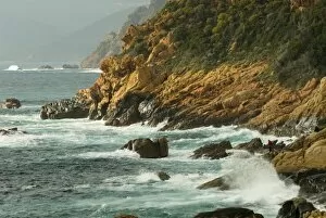 Europe, France, Corsica, Porto Fisherman dwarfed by crashing tide on rugged red rock