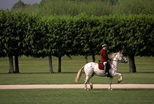 Images Dated 1st December 2005: Europe, France, Loire Valley. Chateau Chambord, equestrian show preperations