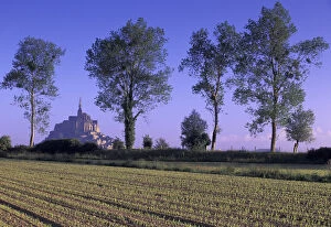 Europe, France, Normandy, Manche; Mont St Michel Distance view with trees