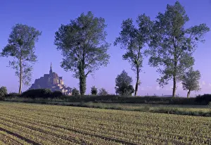 Normandy Prints: Europe, France, Normandy, Manche; Mont St Michel Distance view with trees
