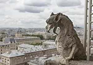 Images Dated 3rd June 2014: Europe, France, Paris. A gargoyle on the Notre Dame Cathedral