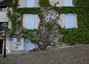 Europe, France, Paris. Ivy-covered wall of a building. Credit as: Bill Young / Jaynes