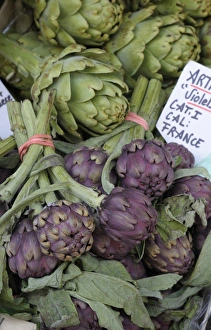 Images Dated 16th November 2008: Europe, France, Provence-Alpes-Cote d Azur, Vaucluse, Lourmarin