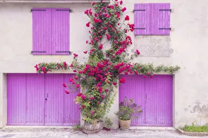 Images Dated 3rd July 2013: Europe, France, Provence. Colorful house facade