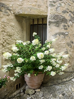 Images Dated 10th July 2014: Europe; France; Provence; Lacoste; Town Scenes