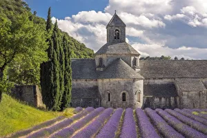Images Dated 8th July 2014: Europe, France, Provence. Lavender field and Senanque Abbey