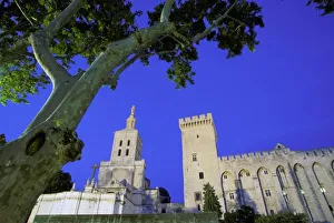Avignon Prints: Europe, France, Provence, Vaucluse, Avignon. Palais des Papes