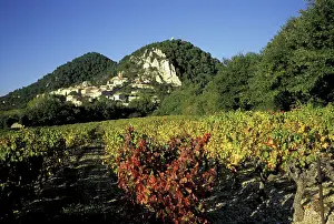 Vaucluse Prints: Europe, France, Seguret, Vaucluse Provence vineyards in autumn