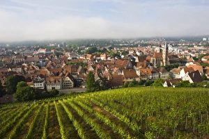 Images Dated 1st June 2008: Europe, Germany