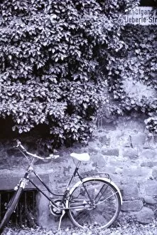 Black and White Collection: Europe, Germany, Baden, Wurttemberg, Heidelberg. Bike and wall