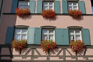 Europe, Germany, Bavaria, Bamberg Windows and flower boxes near the old town hall